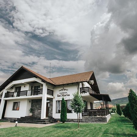 Pensiunea Conacul lui Horia Bistriţa Exterior foto